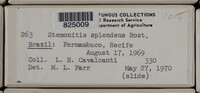 Image Associated With the Occurence